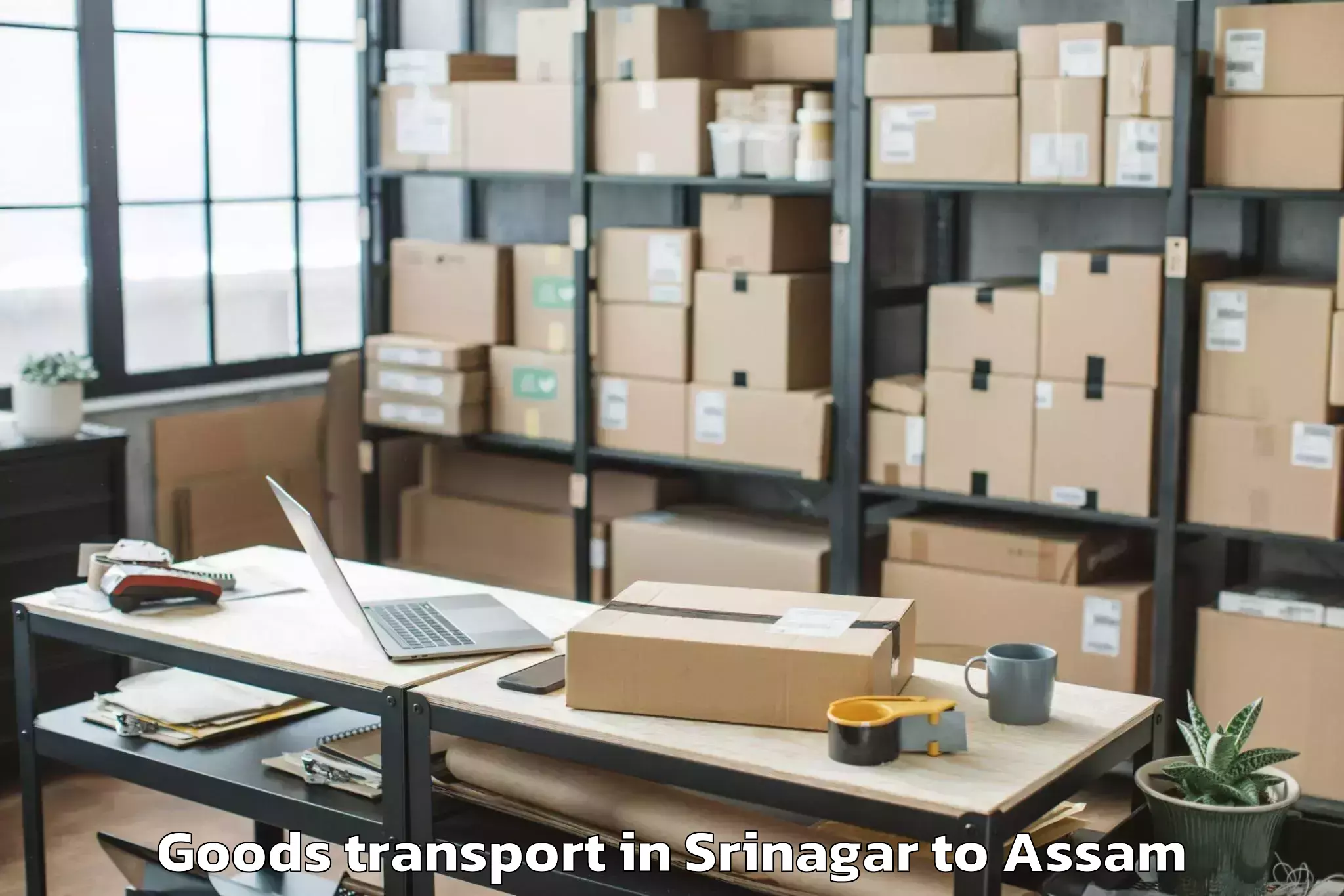 Professional Srinagar to Nagaon Goods Transport